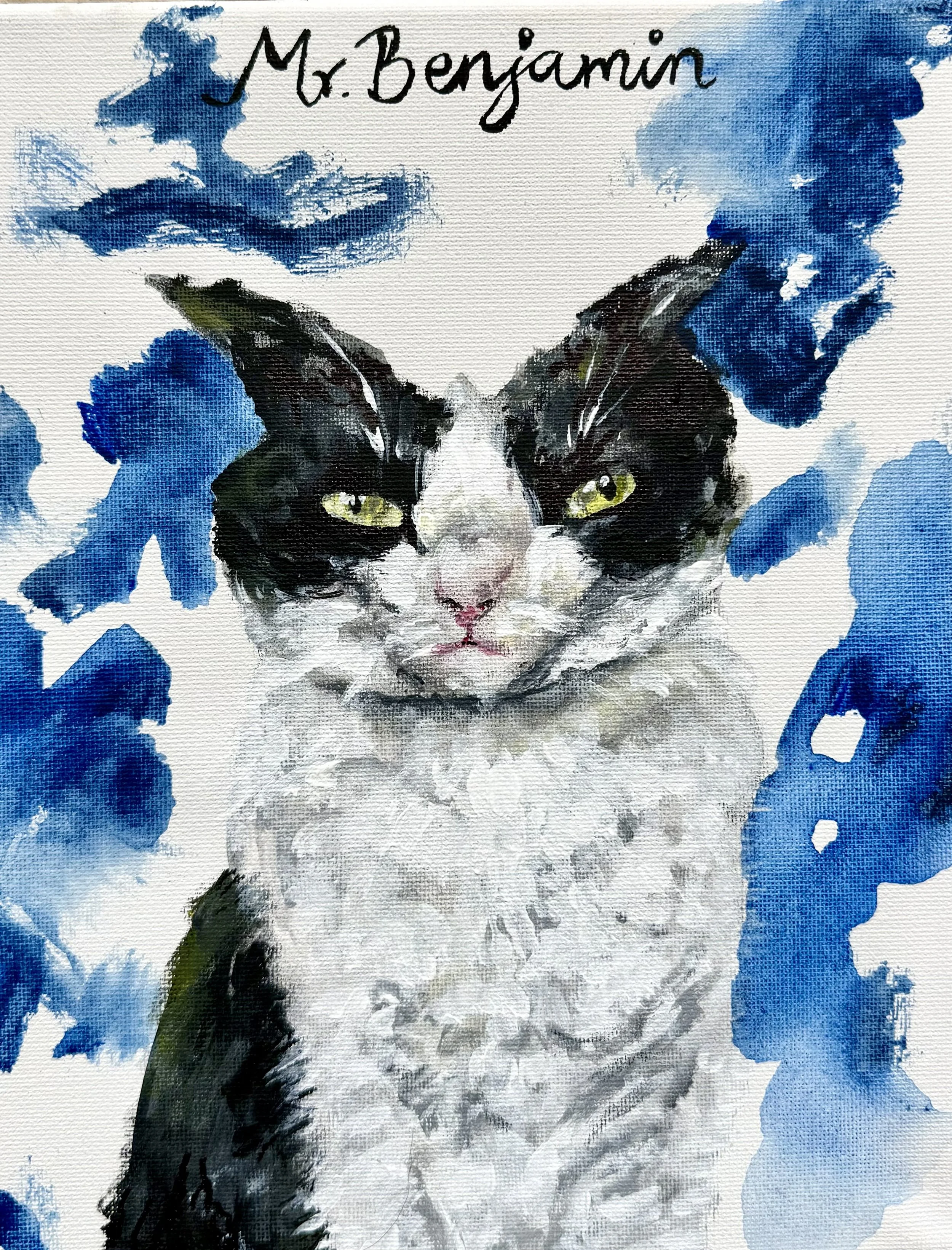 Cat & Bird Portrait Gallery — Home